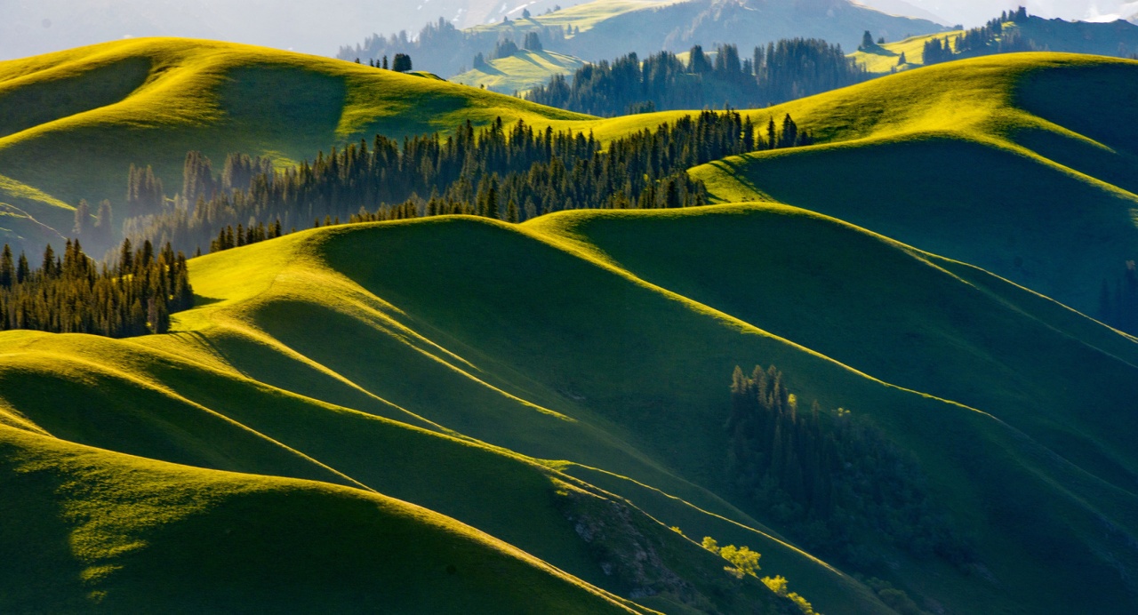 2026国家立法8大看点