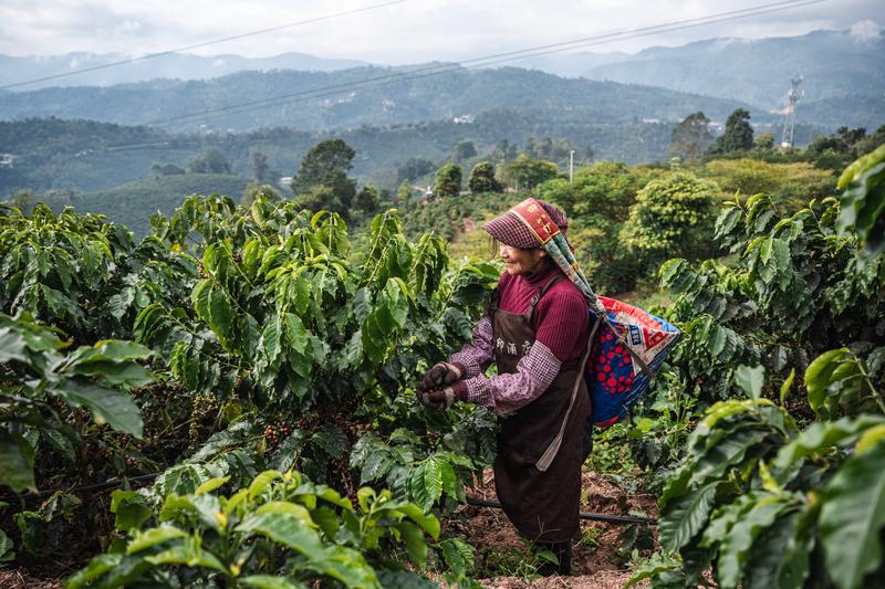 2026全国两会｜“瓜果飘香”里藏着怎样的“甜”密码
