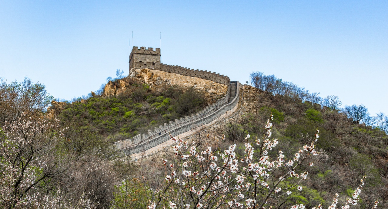 锚定建军一百年奋斗目标，习近平主席指引“十五五”新征程