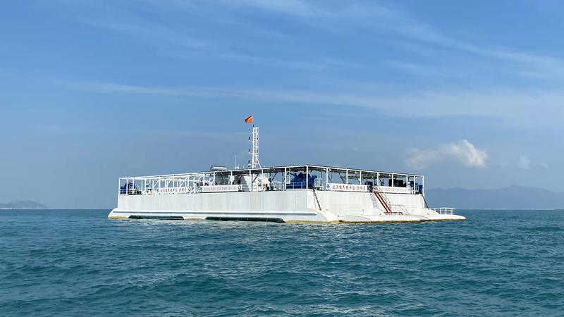 高效开发利用海洋,推动海洋经济高质量发展