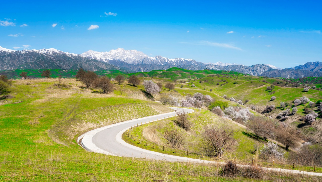 《习近平谈治国理政》第五卷读书笔记⑱丨推动共建“一带一路”高质量发展