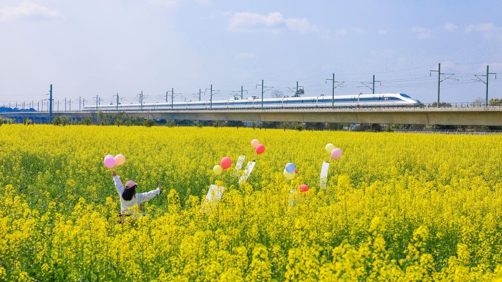 夯实基础全面发力，推进中国式现代化行稳致远