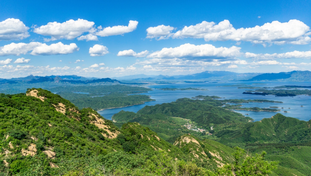 《习近平谈治国理政》第五卷读书笔记⑲丨把党的自我革命进行到底