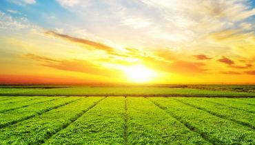 2026全国两会·民生新篇之“打通就医‘最后一公里’”