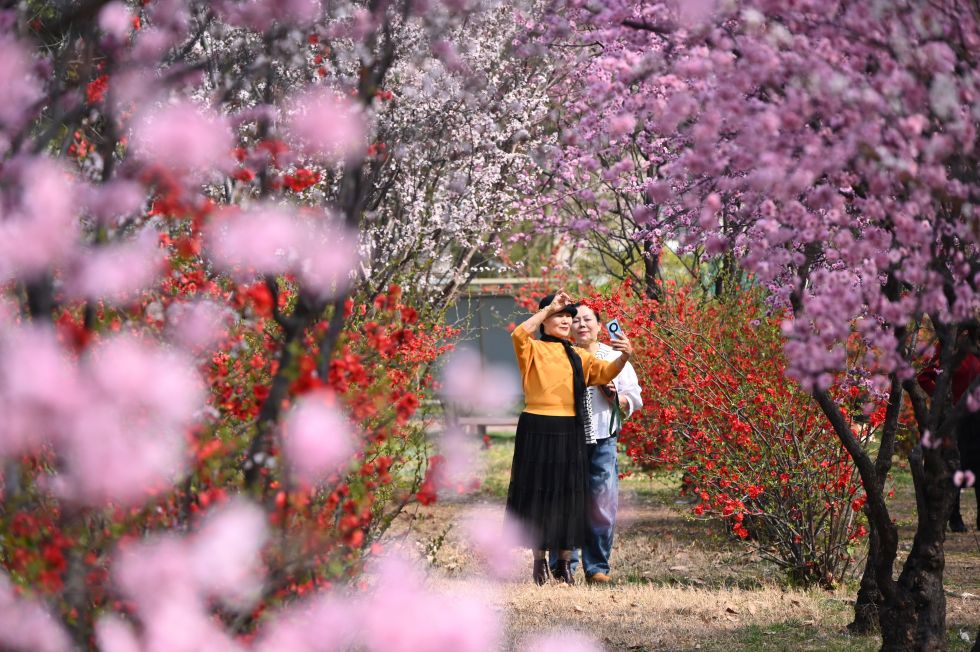 踏青赏花享春光（2）#XxjpsgC000200_20260317_PEPFN0A001