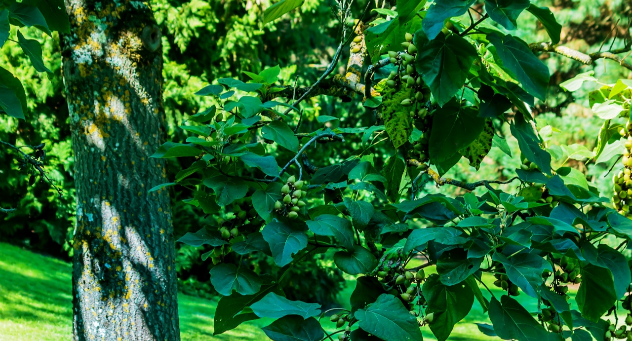 政绩观答卷｜焦裕禄：475个日夜，他把政绩种进土地