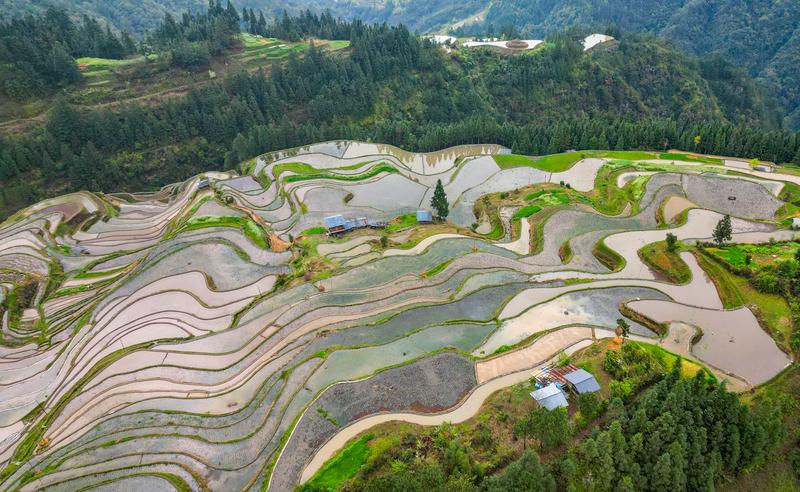 厚植梯田底色、赓续千年文脉，铺就乡村“流金”之路