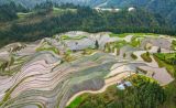 厚植梯田底色、赓续千年文脉，铺就乡村“流金”之路