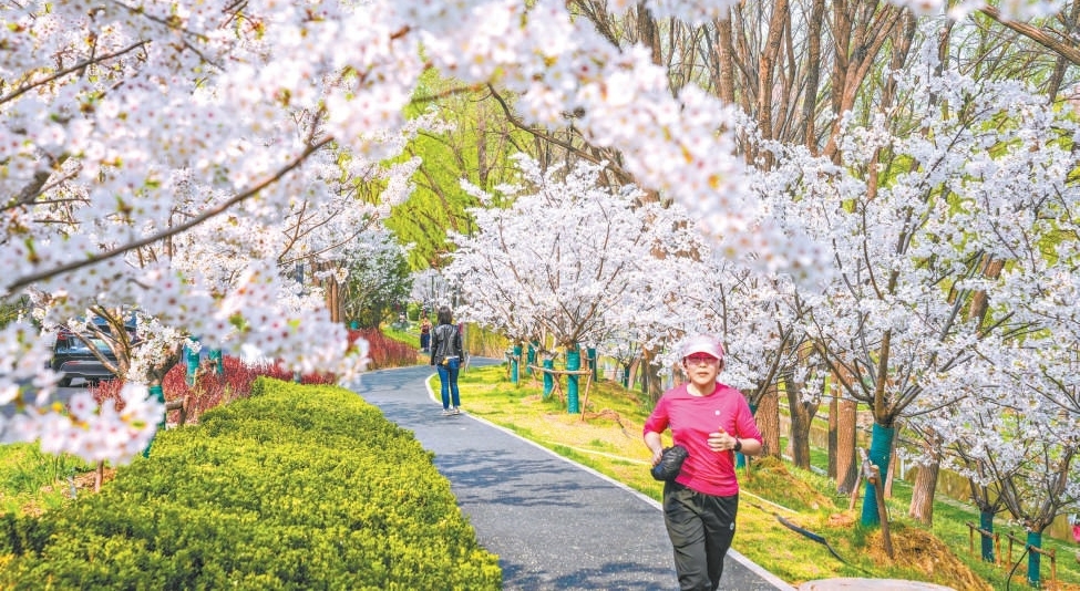 北京，一座看不尽的花园之城
