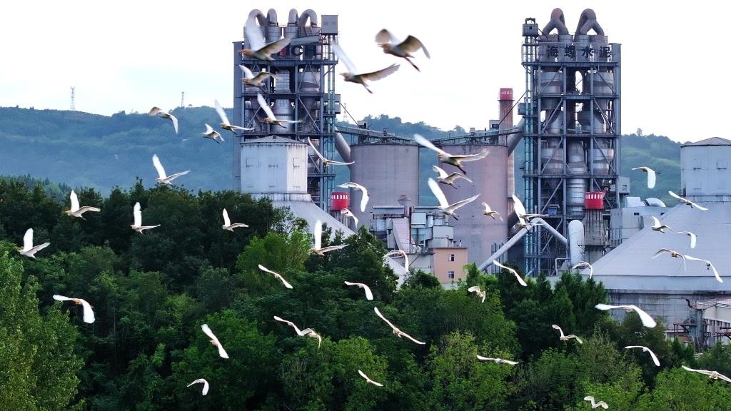 “加减”之间看变化——重庆忠县绿色发展探索观察