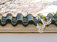 激发全民族文化创新创造活力 繁荣发展社会主义文化