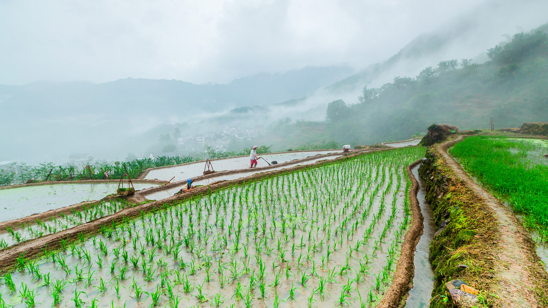 郑风田：统筹新型城镇化和乡村全面振兴