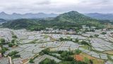 新时代作风建设常态化长效化的体系构建