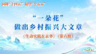 “一朵花”做出乡村振兴大文章