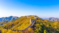 错误政绩观的表现及其原因简析