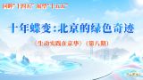 十年蝶变：北京的绿色奇迹