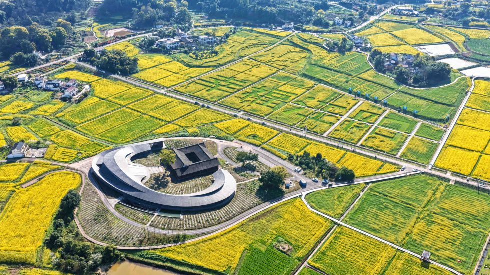 在四川省泸州市江阳区分水岭镇董允坝现代农业园区拍摄的油菜花田（2026年3月4日摄，无人机照片）。新华社发（刘学懿摄）