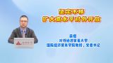 坚定不移扩大高水平对外开放