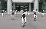 从“实景”到“实用”，人形机器人产业驶入“快车道”