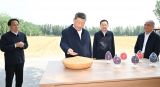 习近平在山东德州考察