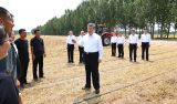 习近平在山东德州考察