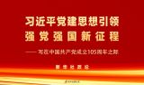习近平党建思想引领强党强国新征程