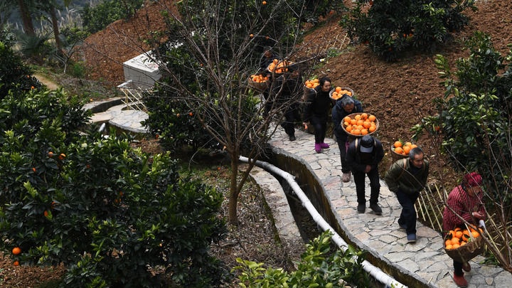 建党百年：全面建成小康社会，向第二个百年奋斗目标迈进