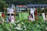 夏日经济“热辣滚烫”  发展活力“澎湃奔涌”