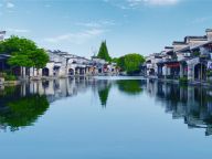 坚持以党的政治建设为统领——深入学习领会习近平党建思想