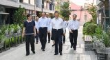 习近平在上海考察