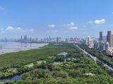 以伟大自我革命引领伟大社会革命 深入把握习近平党建思想的科学体系和原创性贡献