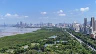 以伟大自我革命引领伟大社会革命 深入把握习近平党建思想的科学体系和原创性贡献