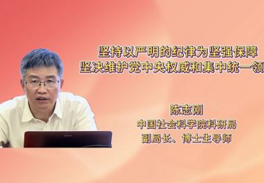 坚持以严明的纪律为坚强保障 坚决维护党中央权威和集中统一领导