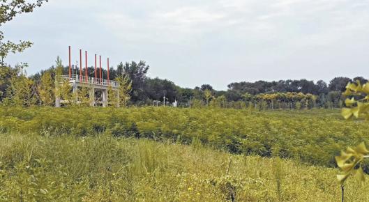 大兴机场滞洪工程可蓄3个昆明湖