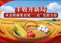丰收开新局 从金秋硕果看见“三农”发展力量