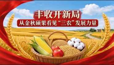 丰收开新局 从金秋硕果看见“三农”发展力量