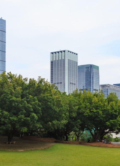 图览社科|《中国区域经济发展报告(2025~2026)》
