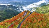 法治护航民族团结 同心筑梦复兴伟业