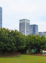 图览社科｜《中国区域经济发展报告（2025～2026）》