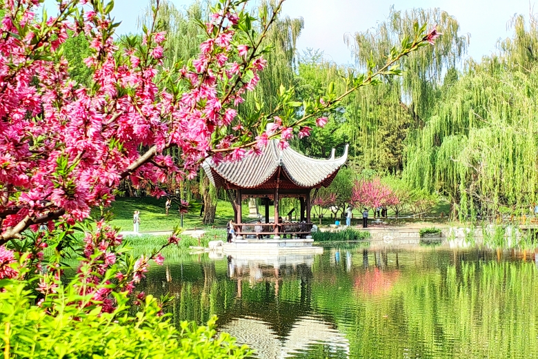 微信图片_20261026162809_248_237_副本